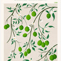 Botanical Lime Bliss