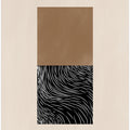 Geometric and Organic Shapes