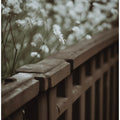 Whispers of Serenity