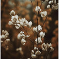 Autumn Whispers