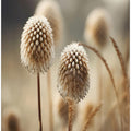 Whispering Grasses