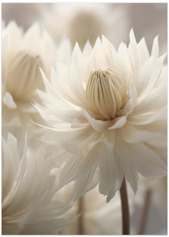 Whispering Petals