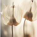 Whispering Petals