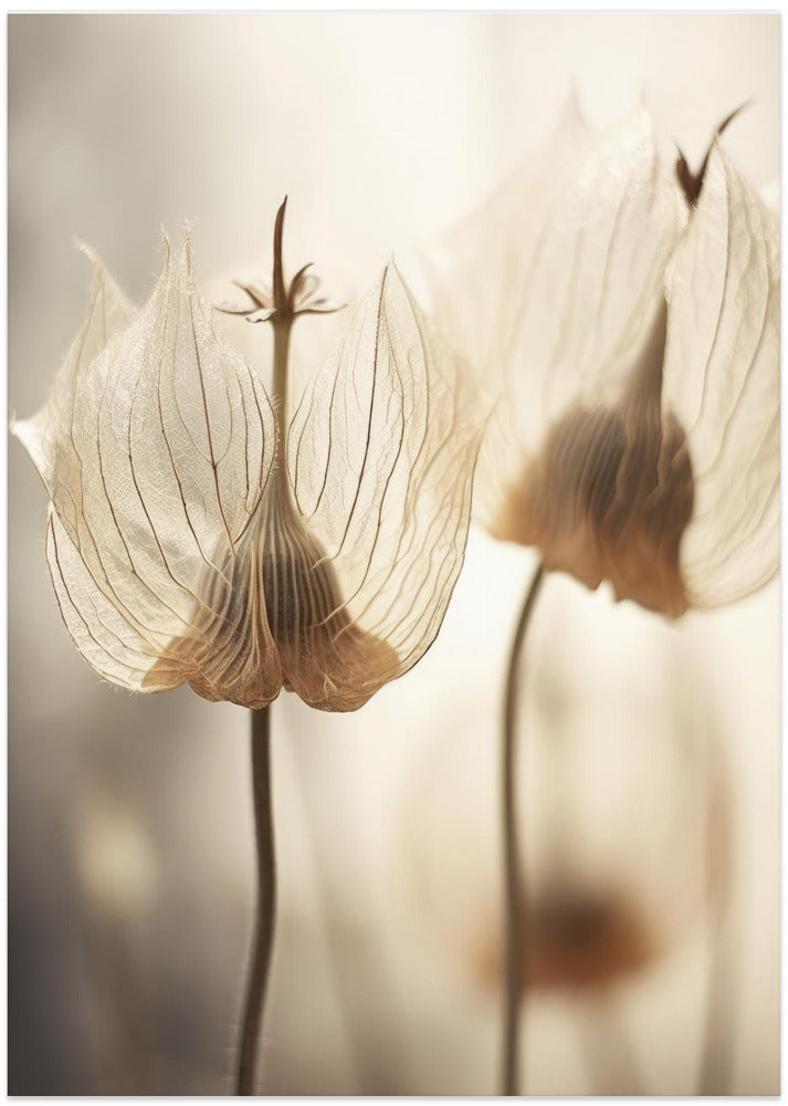 Whispering Petals