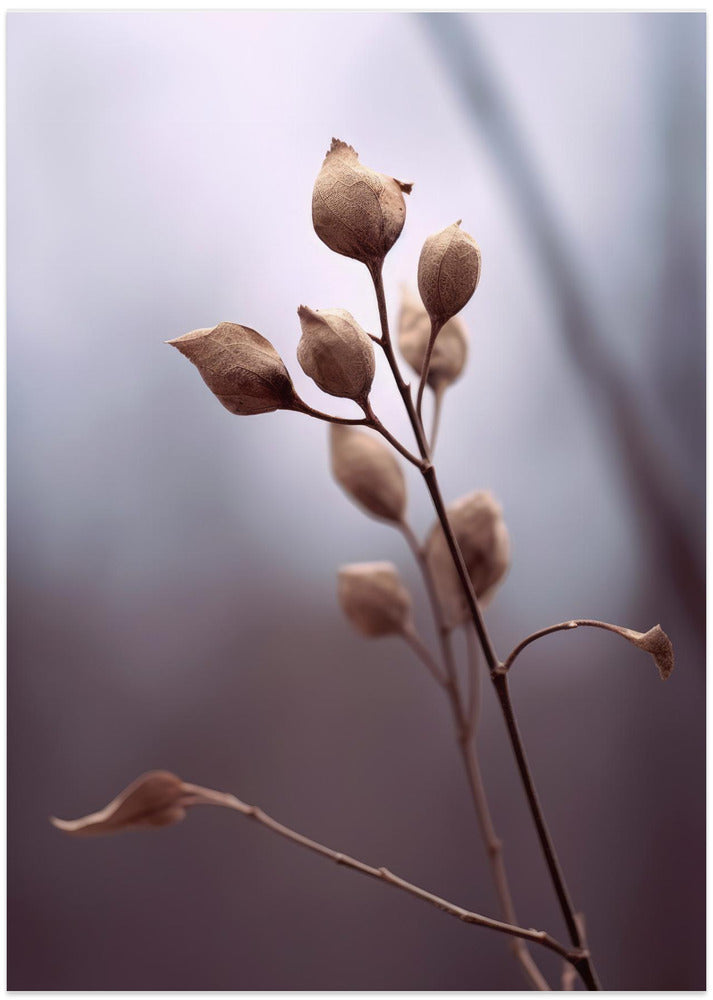 Whispering Branches