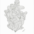 Coral Jpeg