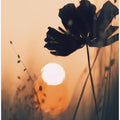 Silhouette at Sunset