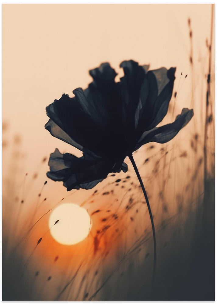 Silhouette Blossom