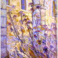 Sunlit Blossoms