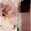 Blossom Abstraction