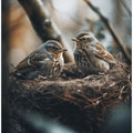 Nestled Serenity