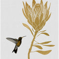 Hummingbird & Flower I