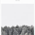 Frosted Tranquility