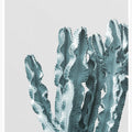 Cactus Elegance