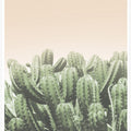 Desert’s Embrace