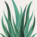 Desert Agave Cactus