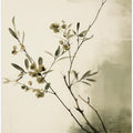 Delicate Branches