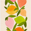 Wild Mango