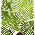 Summer Fern