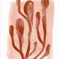 Terracotta Flora