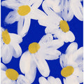 Daisy Dreams