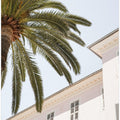 Art Prints of Tropical Menton