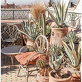 Art Prints of Rooftop in Marrakech