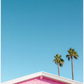 Art Prints of Pink Roofline with Palm Trees