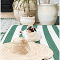 Art Prints of Cat In Marrakech