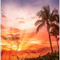 BONITA BEACH Picturesque Sunset