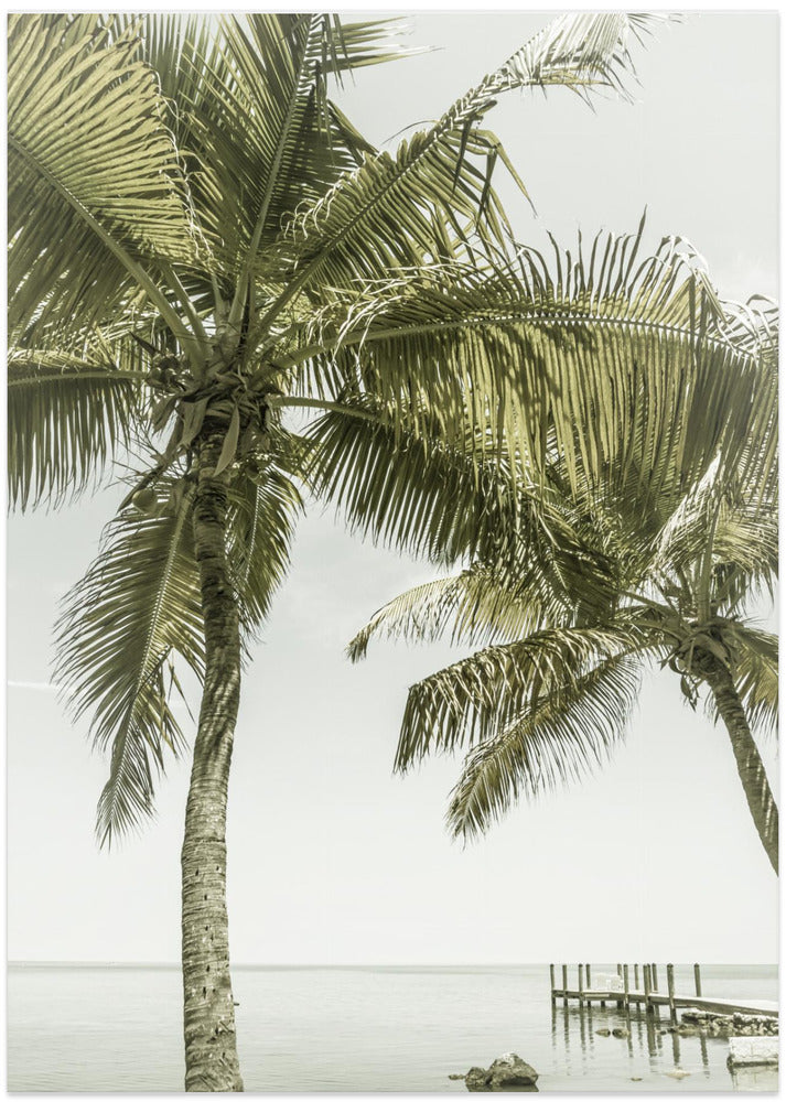 FLORIDA Heavenly Place | Vintage