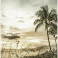 BONITA BEACH Vintage Sunset
