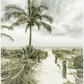 Vintage path to the beach