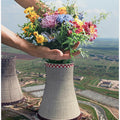 Flower Plant
