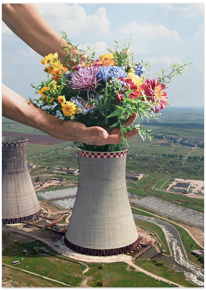 Flower Plant