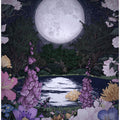 Moon Garden Reflections