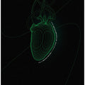 Green Heart In Space