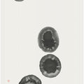 Art Prints of Atoll Ilands