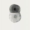 Art Prints of Growth