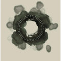 Art Prints of Fractal Om