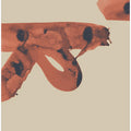Art Prints of Almost There