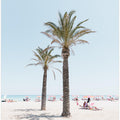 Palm tree at the beach