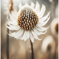 Art Prints of Pastelnaturemacrono13
