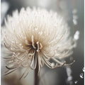 Art Prints of Pastelnaturemacrono11