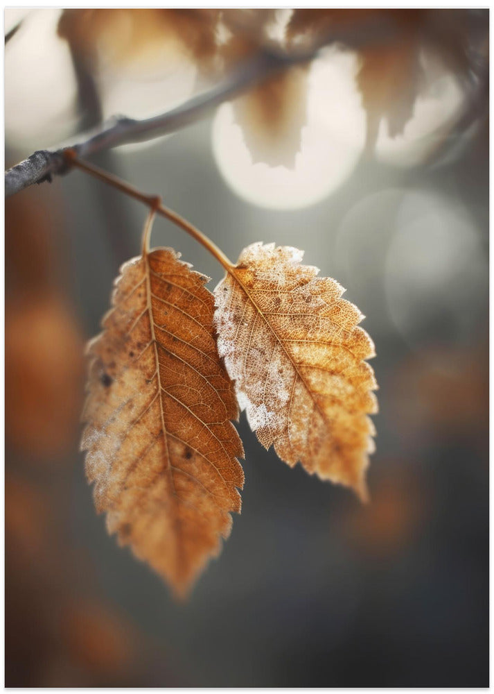 Autumnimpression