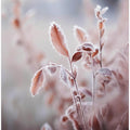 Naturedetailno3
