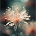 Soft Petal Dream