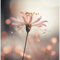 Delicate Bloom