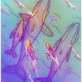 Surfing With the Whales