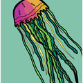 Watermelon Jellyfish